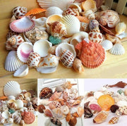 貝殼顆粒 配件 DIY 手工顆粒手工藝家居佈置裝飾材料創意