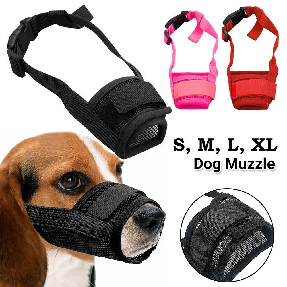 HK250312JJQT14066RMN01_0