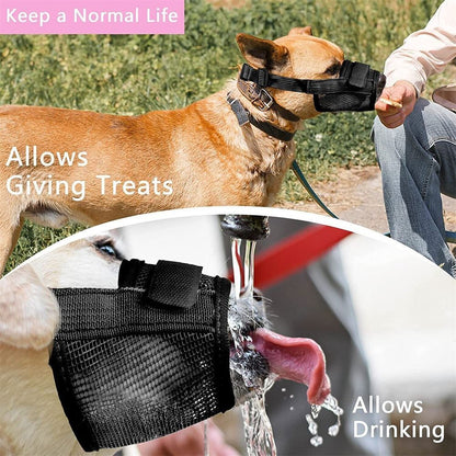 HK250312JJQT14066RMN01_3