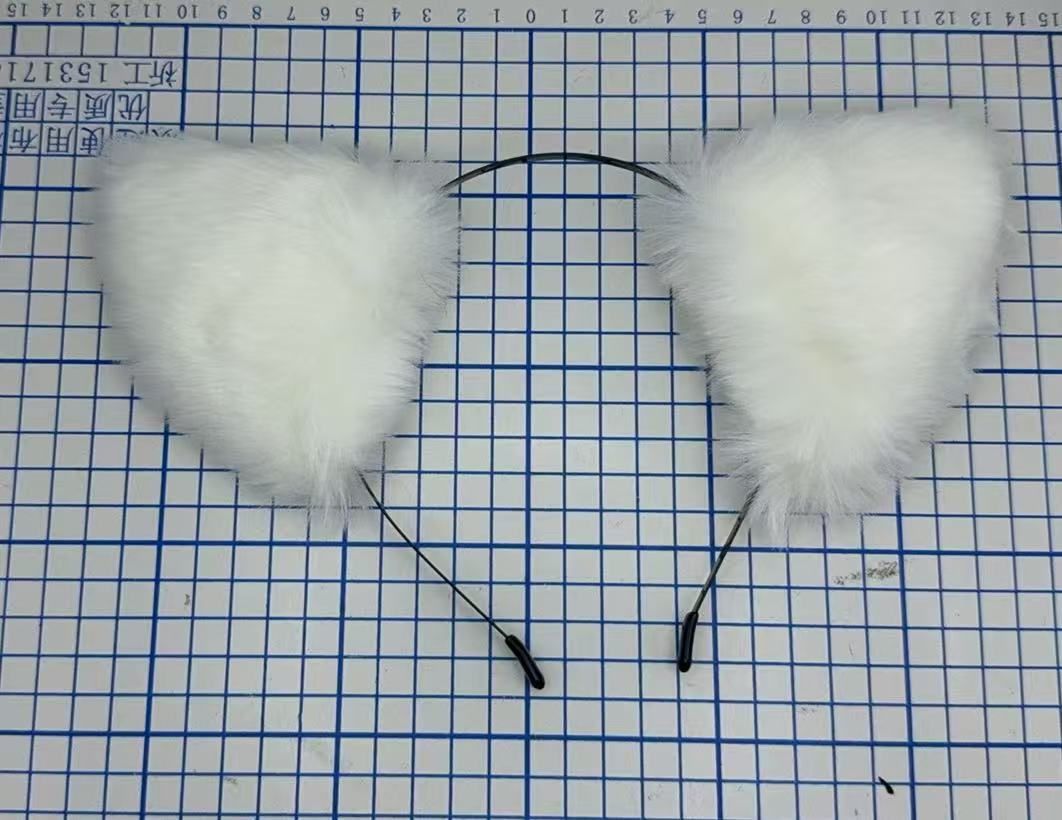 HK250312JJQT14072RMN01_2