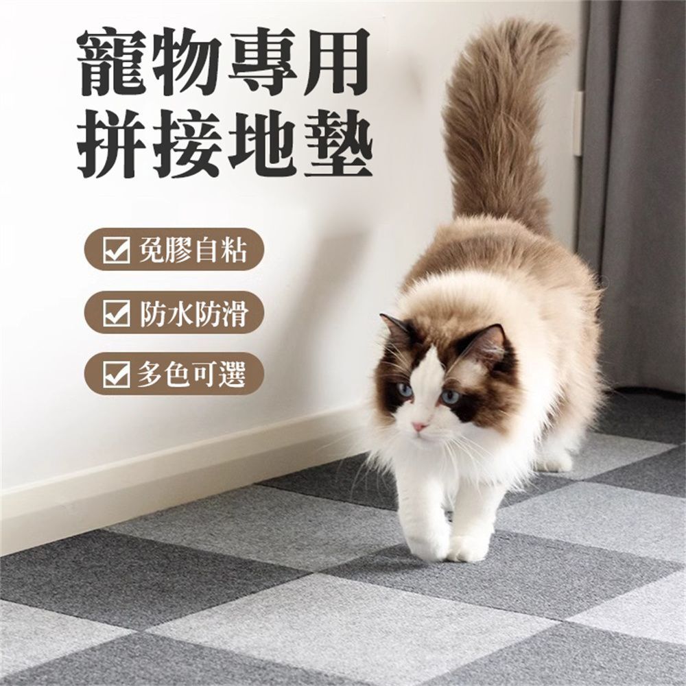 HK250326JJQT14169RMN10_1