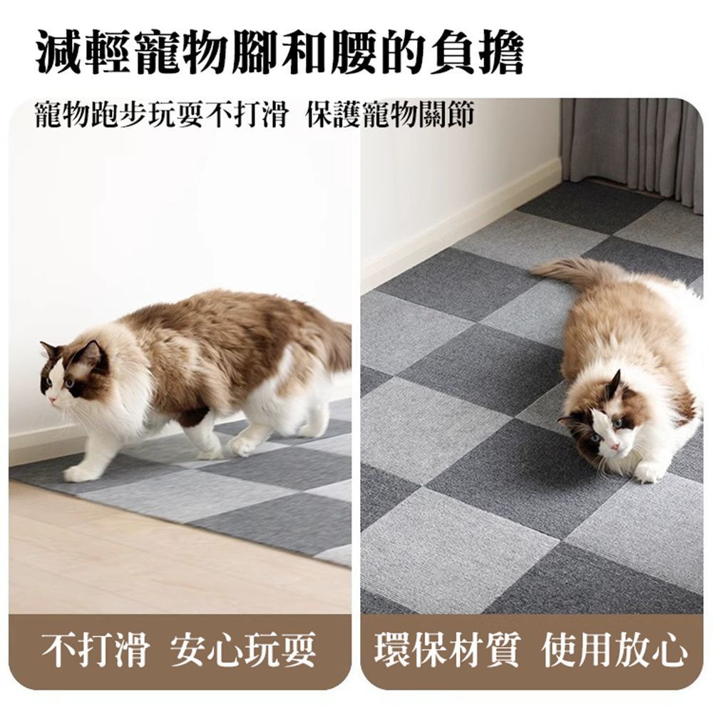 HK250326JJQT14169RMN10_3