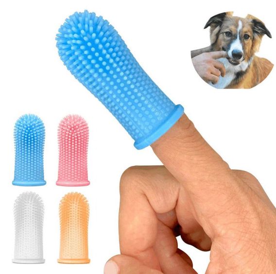 HK250326JJQT14259RMN01_0