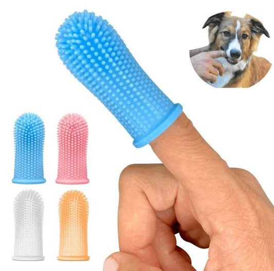 HK250326JJQT14259RMN01_0