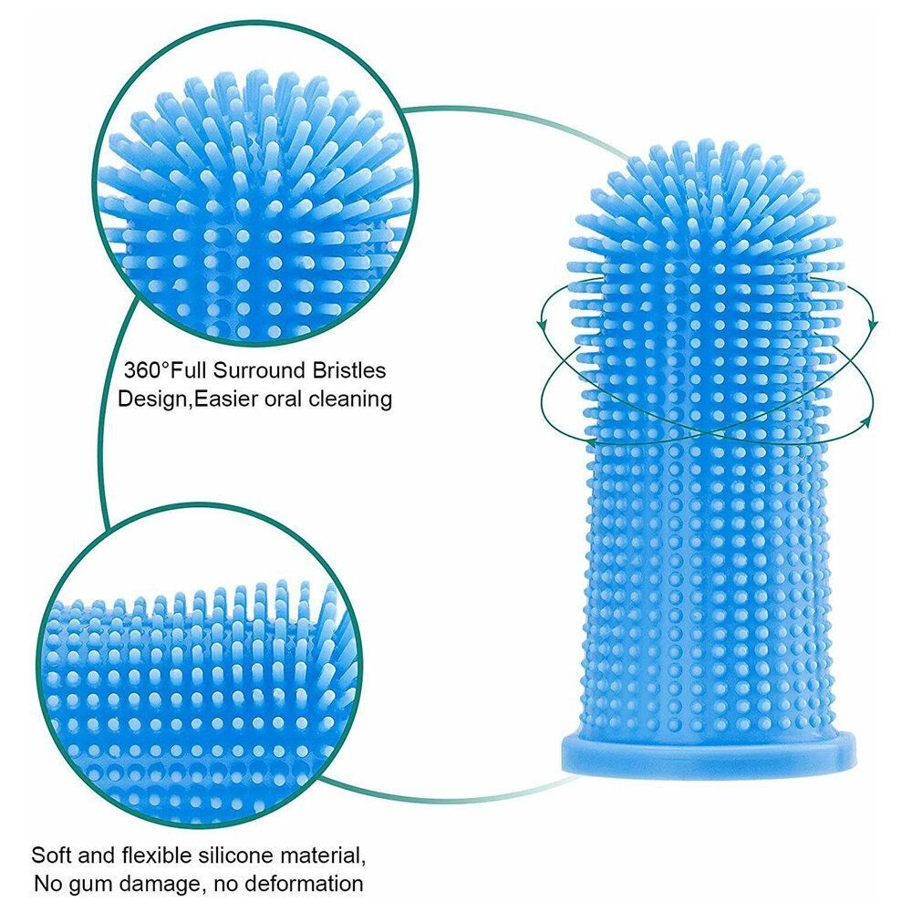 HK250326JJQT14259RMN01_5