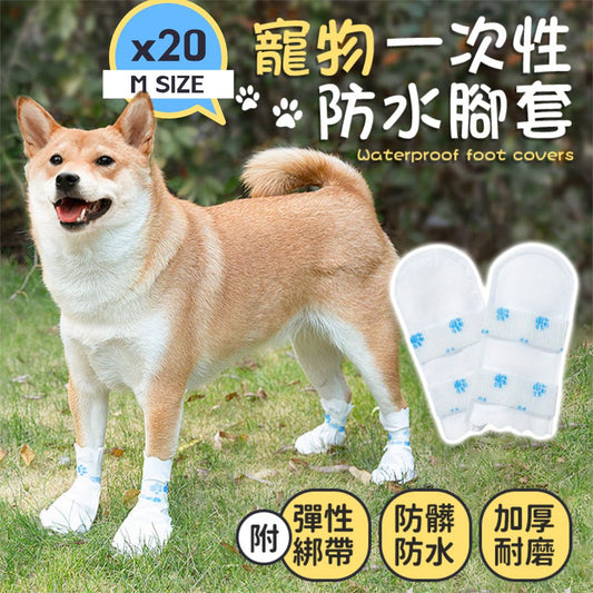 HK250328JJQT14286RMN01_0