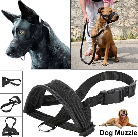 HK250408JJQT14361RMN01_0