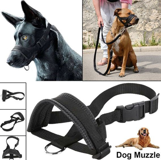 HK250408JJQT14361RMN01_0