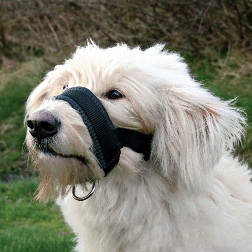 HK250408JJQT14361RMN01_2