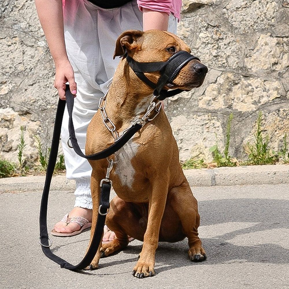 HK250408JJQT14361RMN01_3