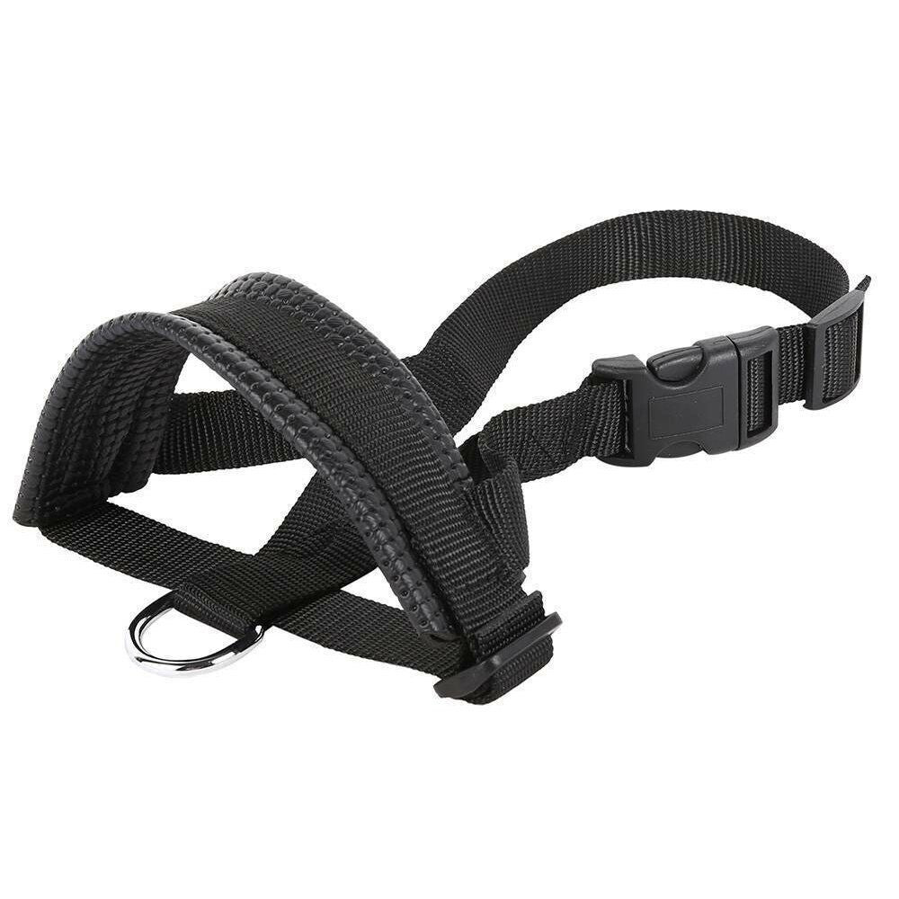 HK250408JJQT14361RMN01_5