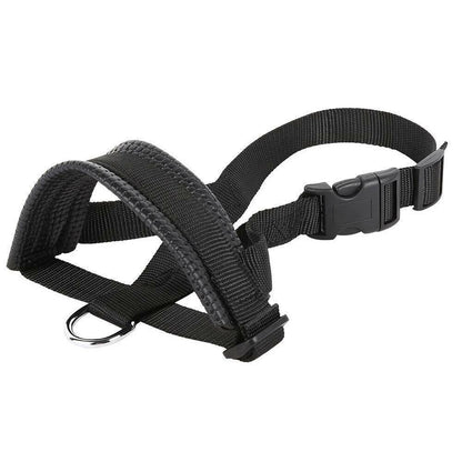 HK250408JJQT14361RMN01_5