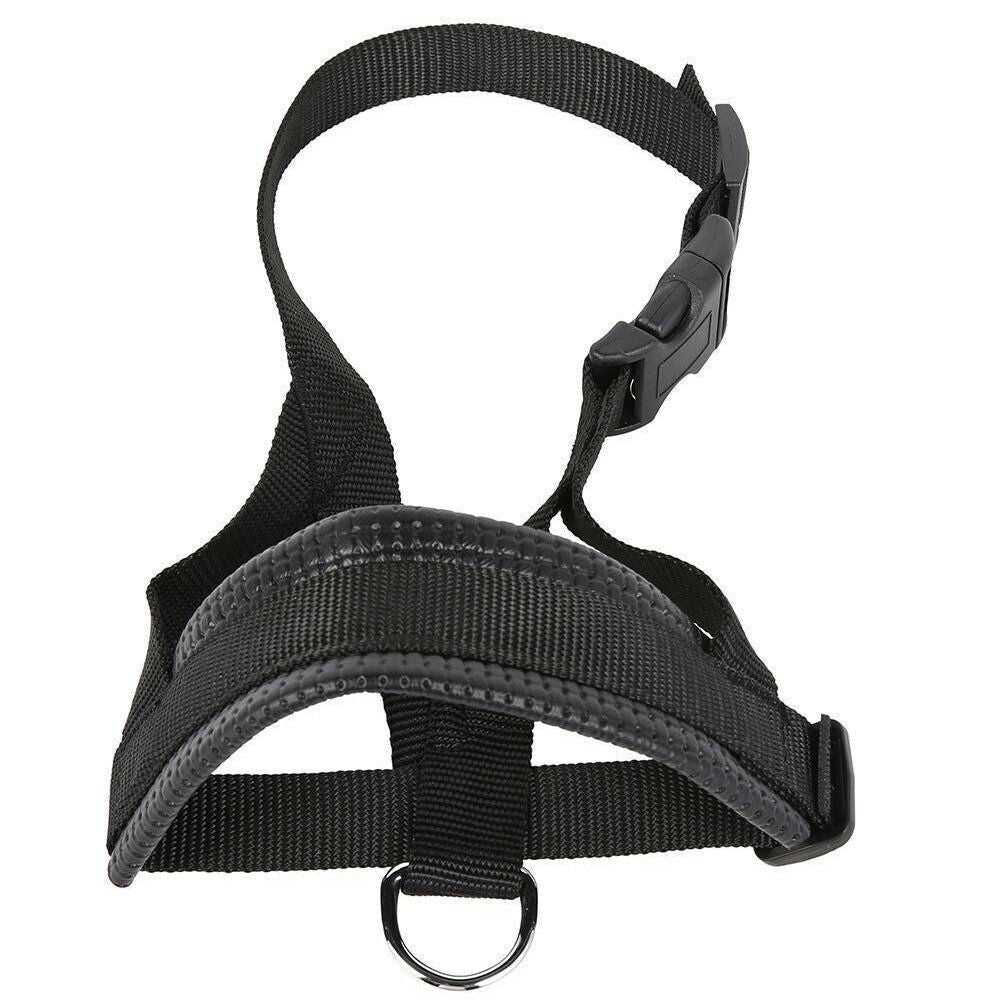 HK250408JJQT14361RMN01_6