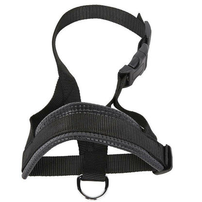 HK250408JJQT14361RMN01_6