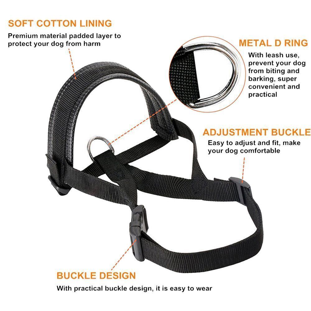 HK250408JJQT14361RMN01_7