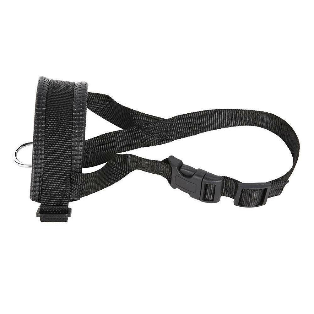 HK250408JJQT14361RMN01_9