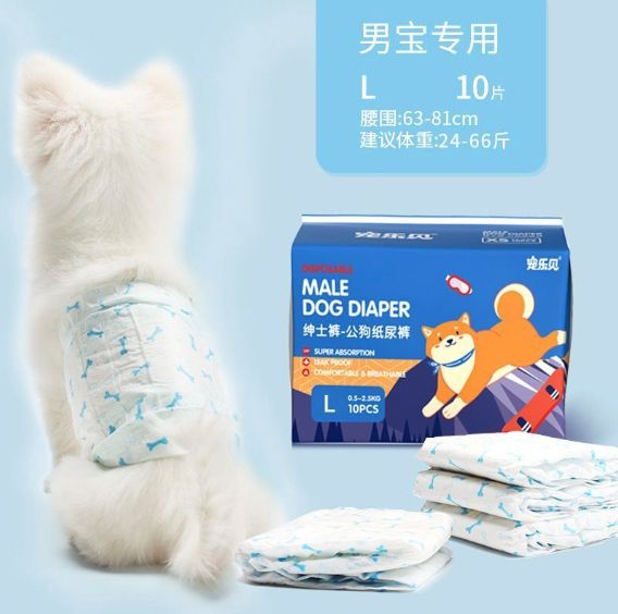 HK250429JJQT14496RMN01_0