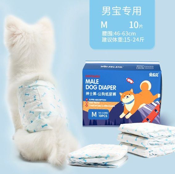 HK250429JJQT14497RMN01_0