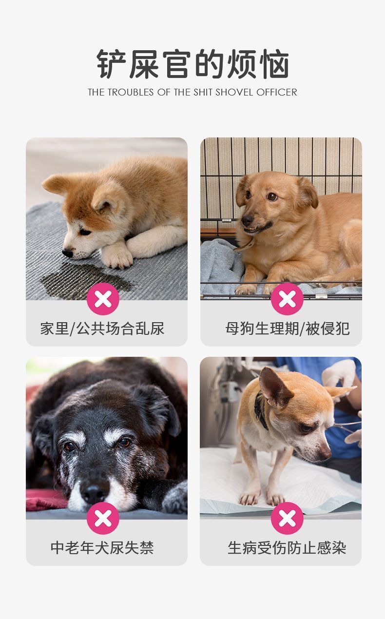 HK250429JJQT14497RMN01_5