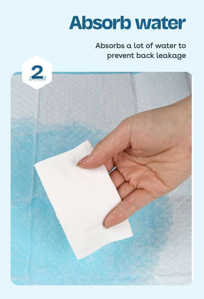 HK250510JJQT14601RMN01_8