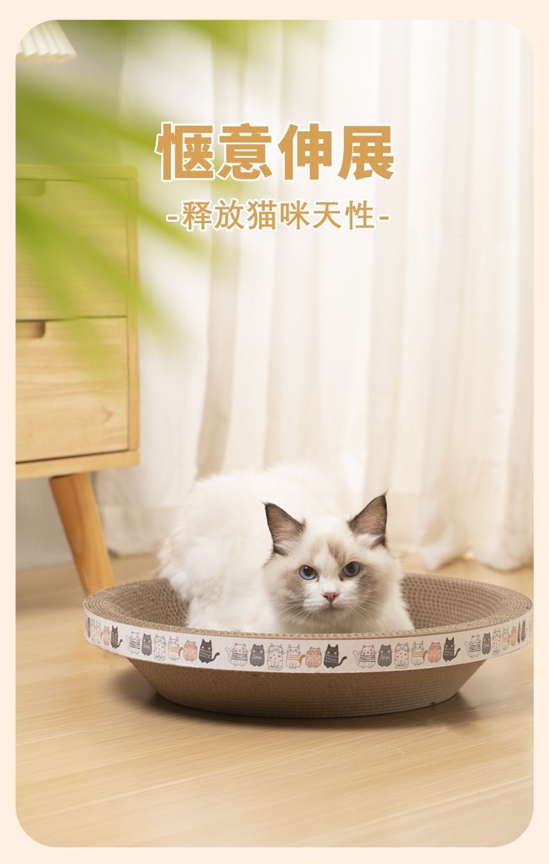 HK250514JJQT14650RMN01_2