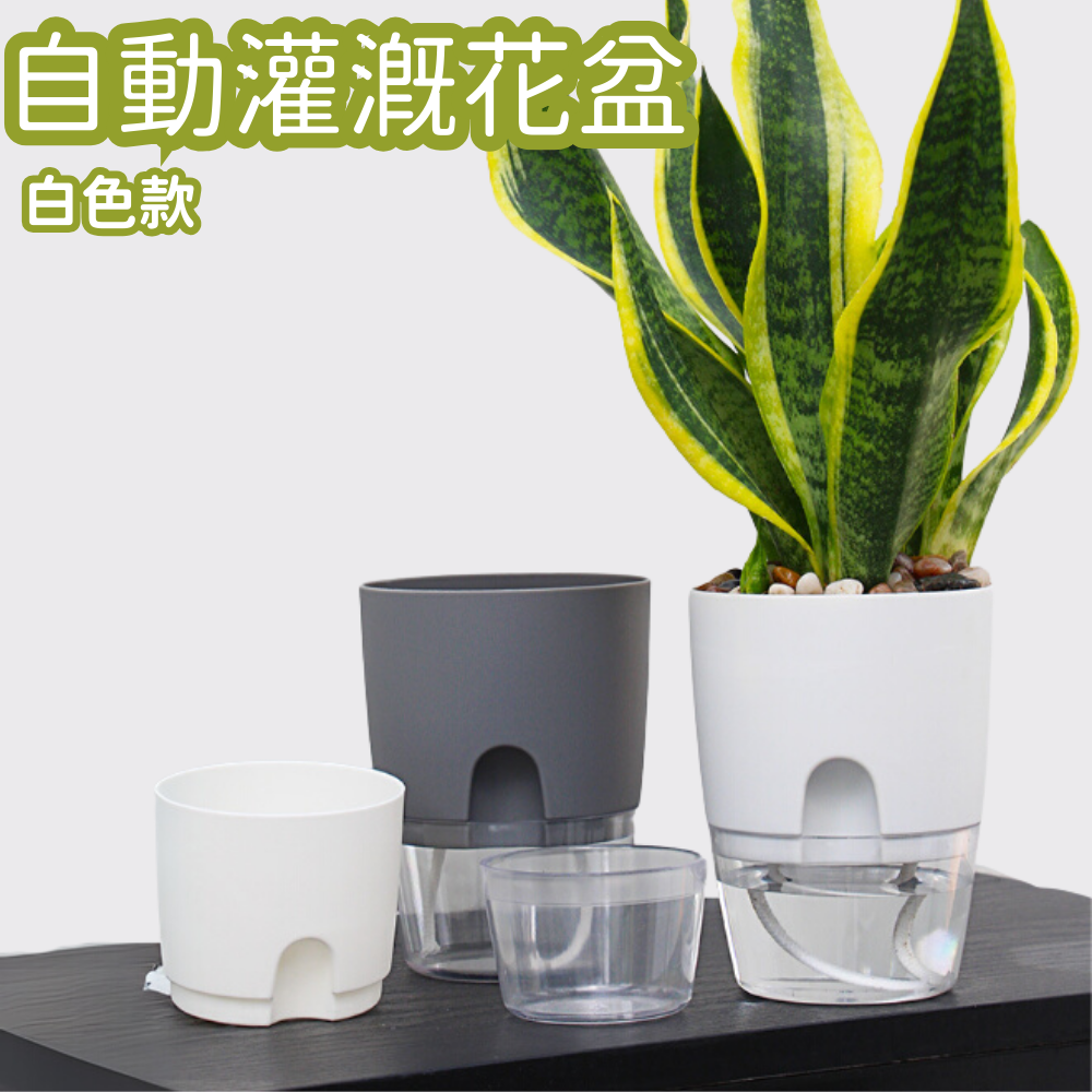 HK250527JJQT14798RMN01_0