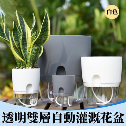 HK250527JJQT14798RMN01_1