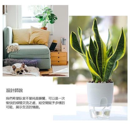 HK250527JJQT14798RMN01_2