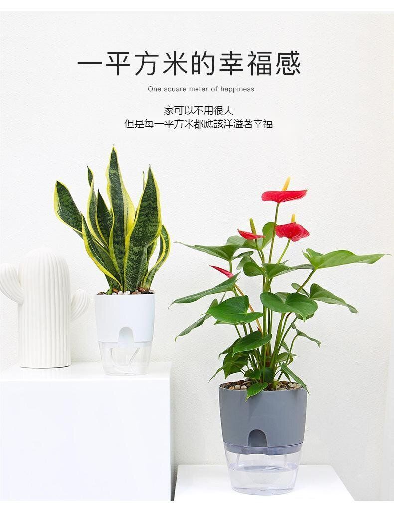 HK250527JJQT14798RMN01_3