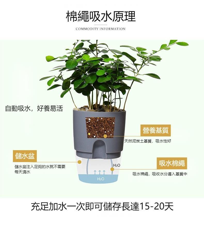 HK250527JJQT14798RMN01_4