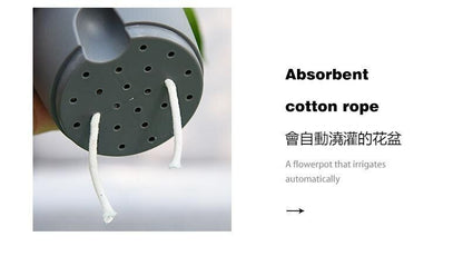 HK250527JJQT14798RMN01_5