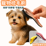 狗狗梳子 泰迪梳毛專用 寵物按摩梳 拉毛蓬鬆 小型犬 狗毛清理神器用品