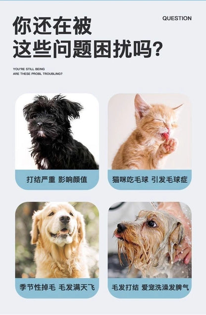 HK250701JJQT14960RMN01_2