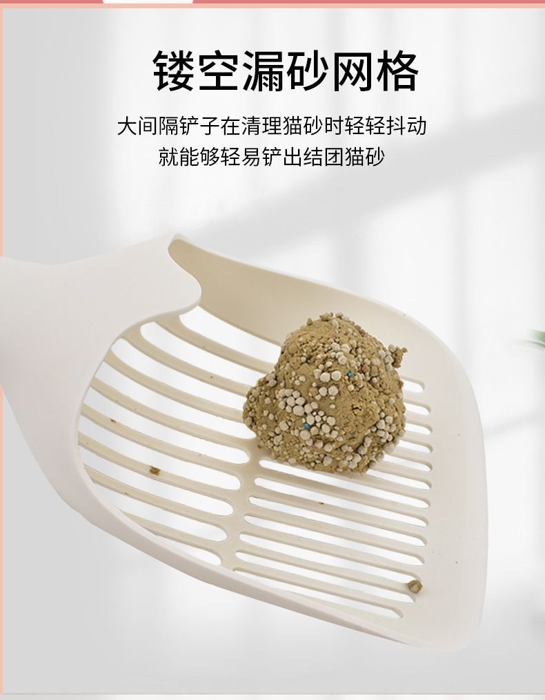 HK250702JJQT15031RMN01_4