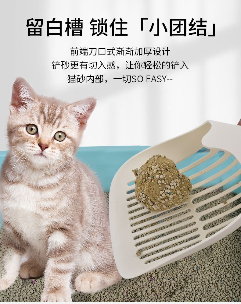 HK250702JJQT15031RMN01_6