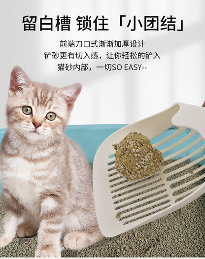 HK250702JJQT15031RMN01_6