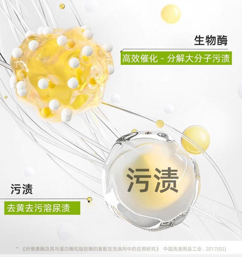 HK250702JJQT15126RMN01_3