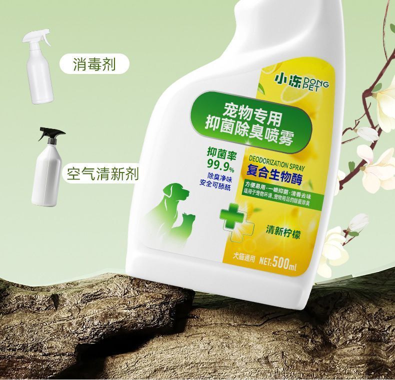 HK250702JJQT15126RMN01_5