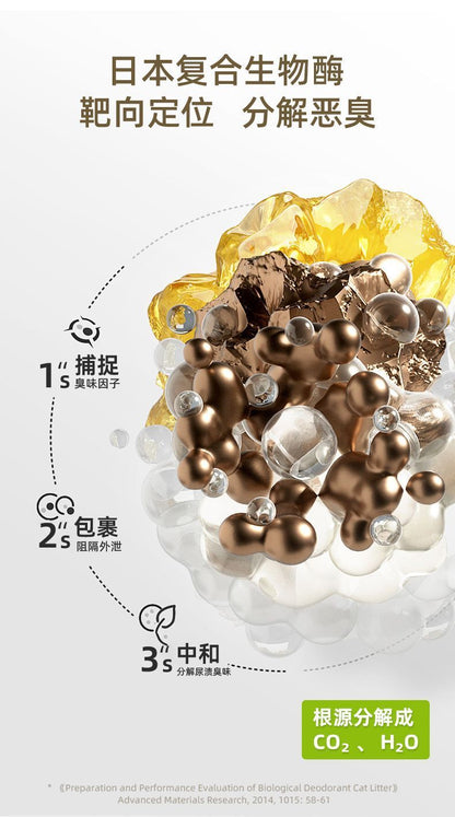 HK250702JJQT15126RMN01_6