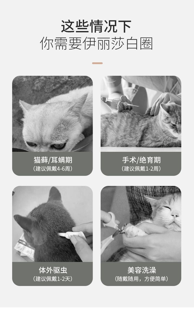 HK250711JJQT15175RMN01_1