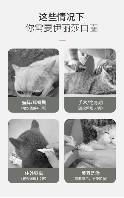 HK250711JJQT15175RMN01_1