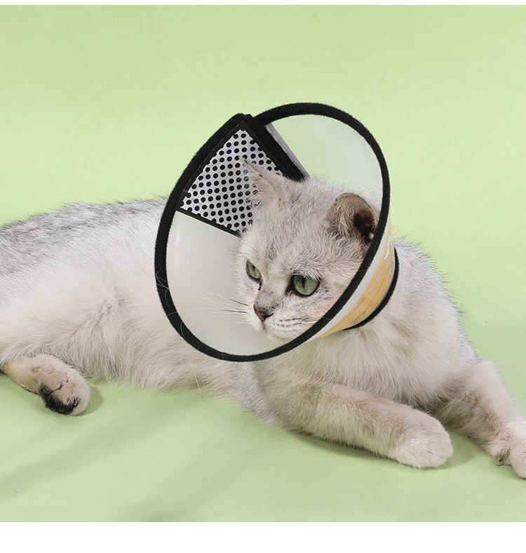 HK250711JJQT15175RMN01_3