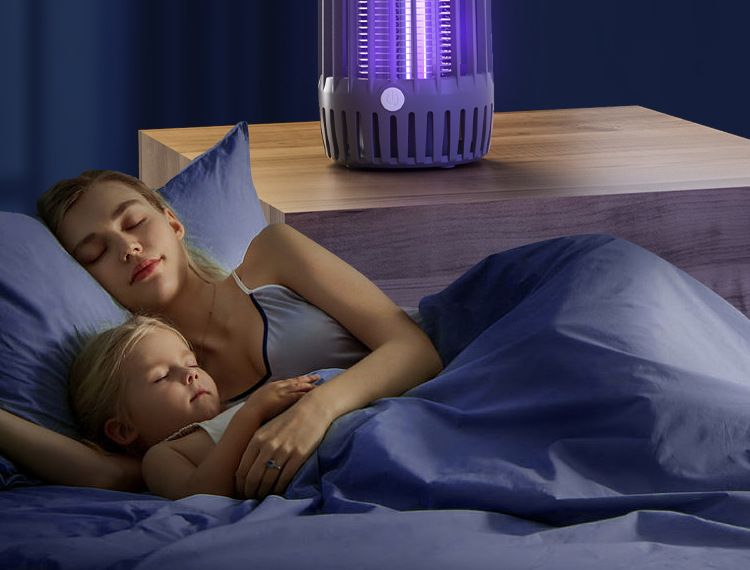 HK250805JJQT15253RMN01_10