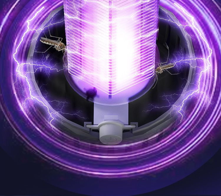 HK250805JJQT15253RMN01_8