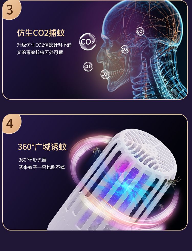 HK250805JJQT15254RMN01_6