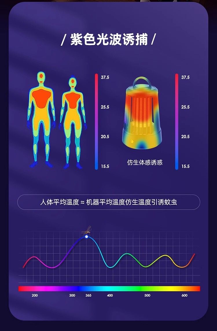 HK250805JJQT15255RMN01_5