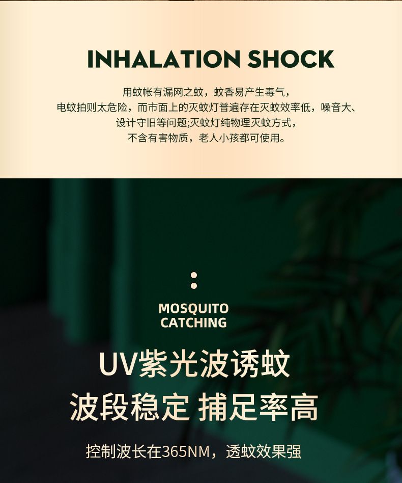 HK250805JJQT15256RMN01_4