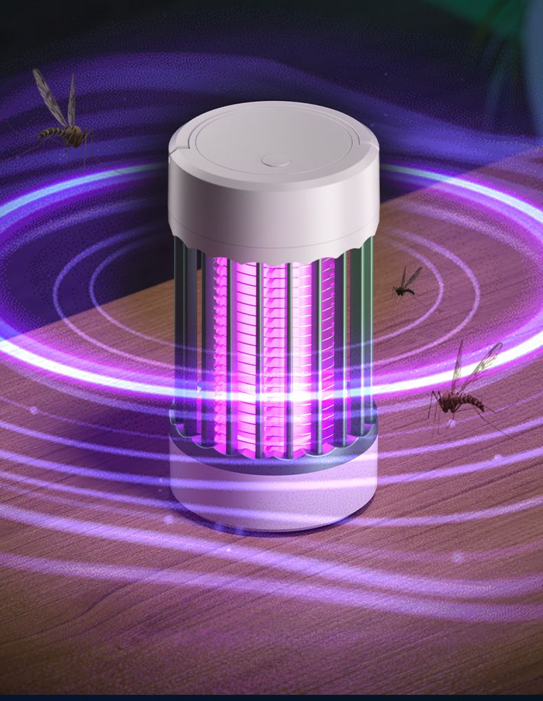 HK250805JJQT15256RMN01_5