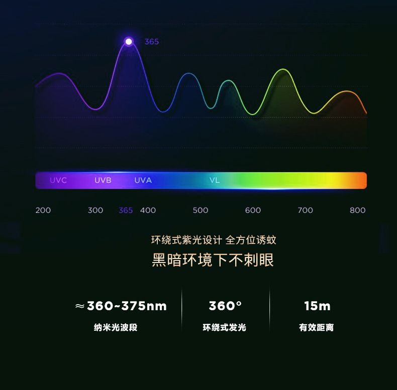 HK250805JJQT15256RMN01_6