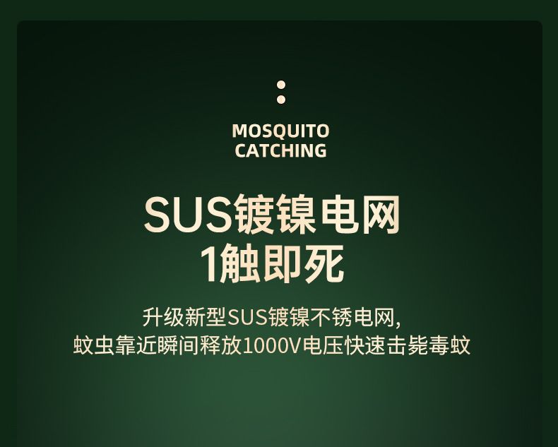 HK250805JJQT15256RMN01_7